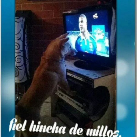 la mas fiel a M.F.C